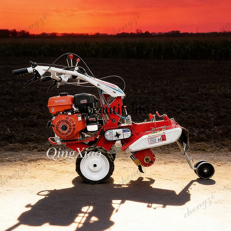 M81 4WD Front Rotary Mini Till - Garden Tiller Mini recensie en prijs