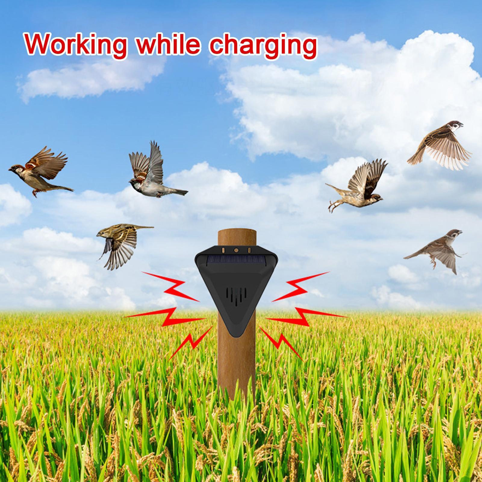 Solar Timer Vogelafschrikker M - Outdoor Power With Timer recensie en prijs