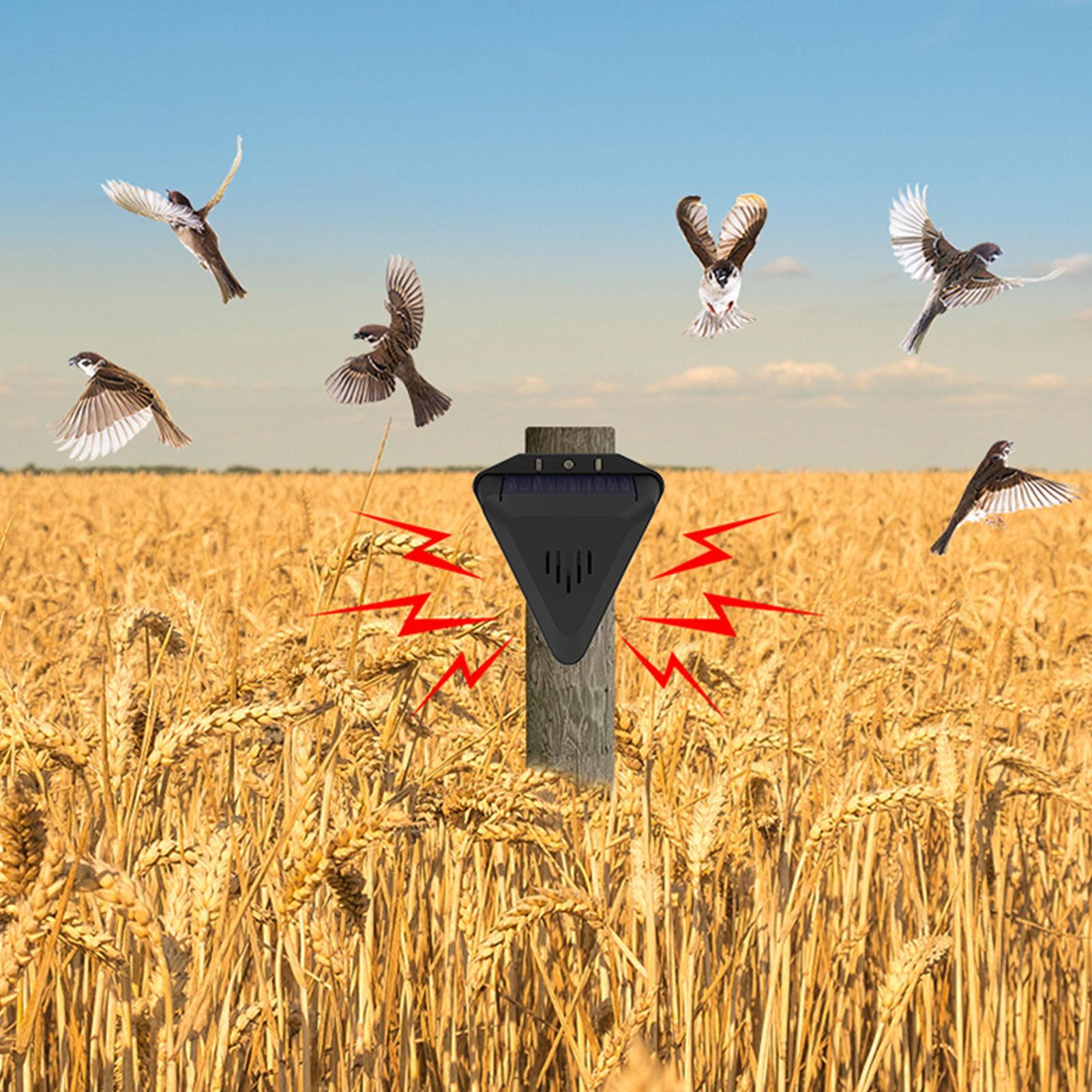 Solar Timer Vogelafschrikker M - Outdoor Power With Timer recensie en prijs