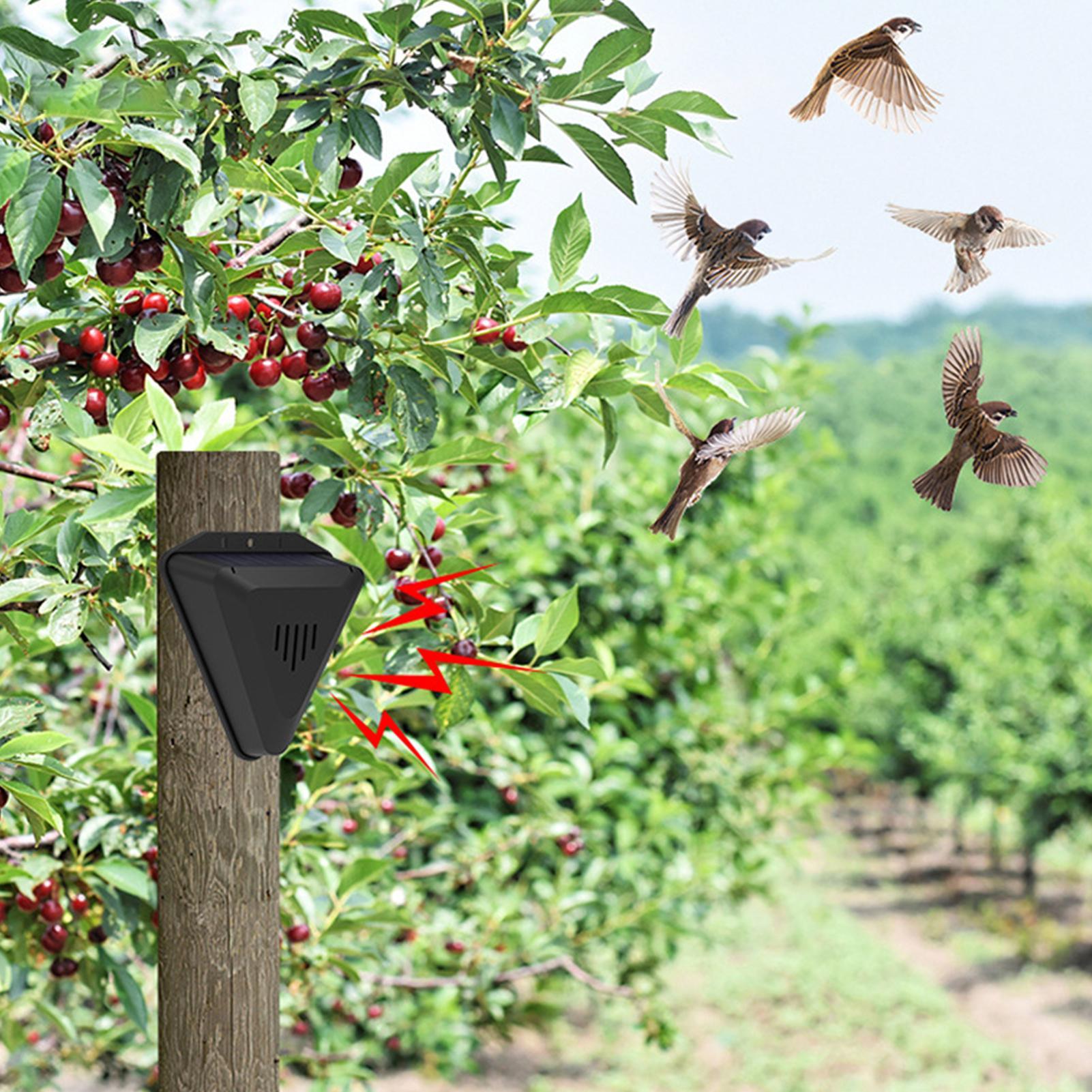 Solar Timer Vogelafschrikker M - Outdoor Power With Timer recensie en prijs